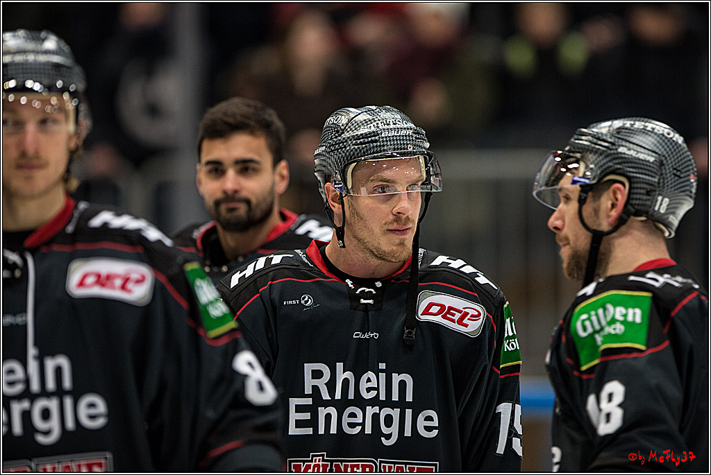 DEL, Koelner Haie - Nuernberg Ice Tiger, 24.01.2017